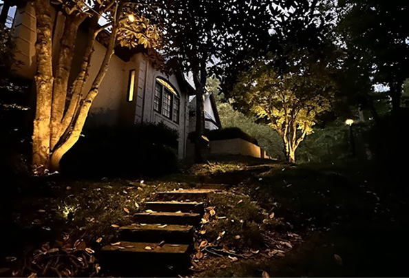 Transform Your Backyard into an Outdoor Retreat with Trimlight Architectural Lighting